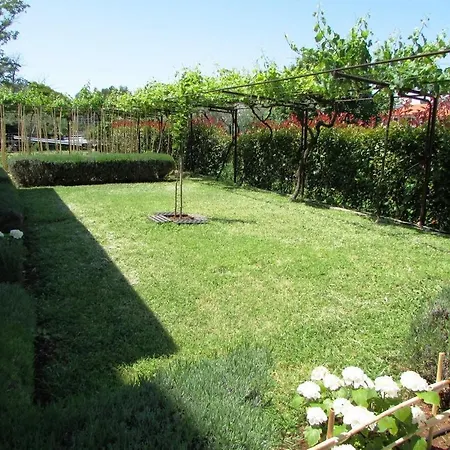 Paliska Apartment Umag